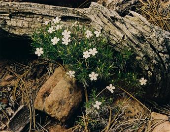 ELIOT PORTER (1901-1990) A portfolio entitled Western Landscapes. 1988.